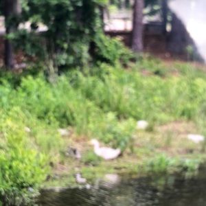 Meet your Posher, Naranza